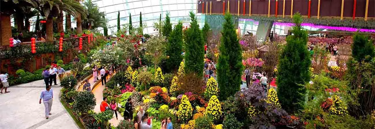 https://d1i3enf1i5tb1f.cloudfront.net/Tour-Images/false-4684/singapore-garden-by-the-bay.jpg
