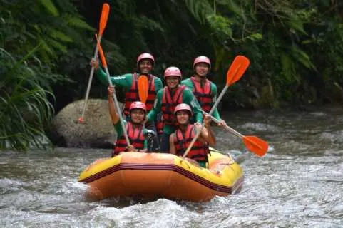 Bali Adventure Combo: Ayung River White Water Rafting & Ubud Jungle Swing | Indonesia