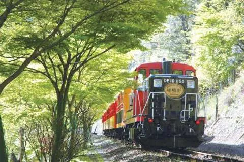[One-Day Tour in Kyoto] Sagano Arashiyama Train, Kiyomizu Temple, and Fushimi Inari Shrine (Departing from Osaka and Kyoto)
