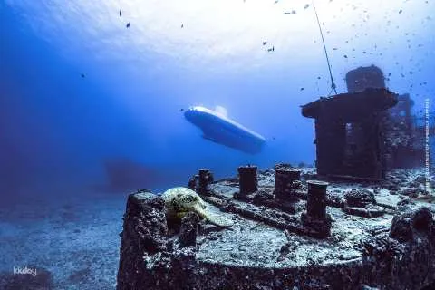 Atlantis Submarine Tour | Waikiki, Hawaii