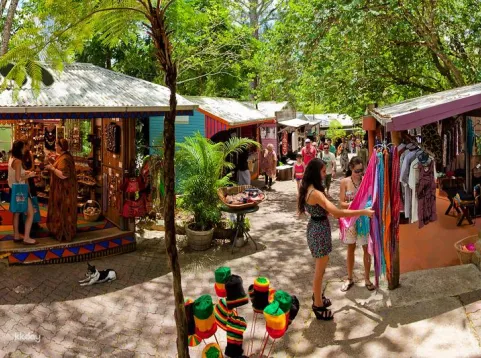 Kuranda Self Drive: Skyrail and Scenic Rail | Queensland