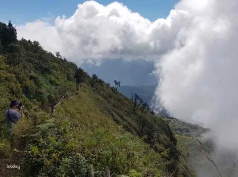 Doi Inthanon National Park with Fantastic 2hr trekking
