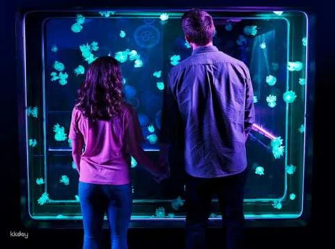 SEA LIFE Aquarium New Jersey Ticket