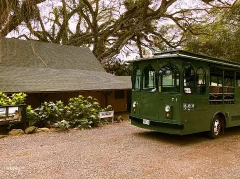 Kualoa Ranch Grown Tour | Hawaii Oahu