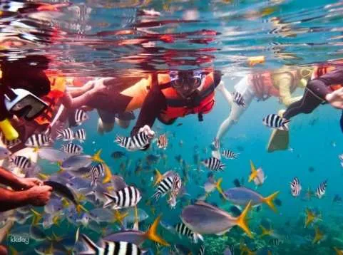 Kenting Houbi Lake｜Snorkeling surprise experience｜Intimate contact with tropical fish