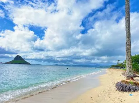 Oahu Island Experience and North Shore Day Tour with Hotel Transfer | Hawaii