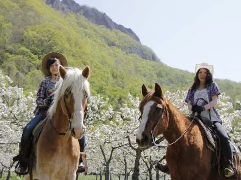 Horseback riding experience in the great outdoors of Hokkaido | Taxi transfer from Sapporo included