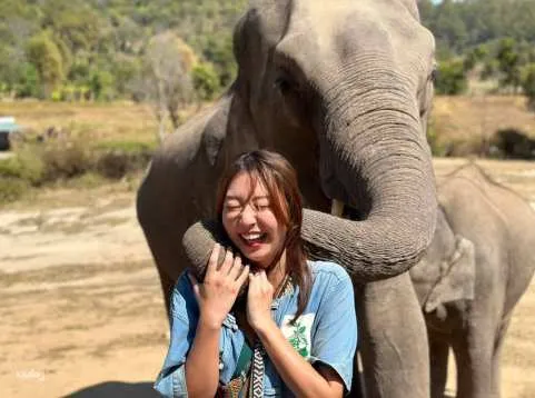 Chiang Mai: Elephant Sanctuary & Doi Inthanon Hiking Half-Day or Full-Day Tour with EN/CN Guide