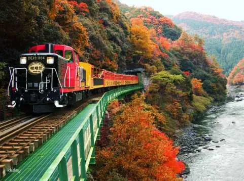 【Japan】Kyoto Arashiyama Small Train Sanzenin One Day Tour｜Osaka Shinsaibashi/Kyoto Departure