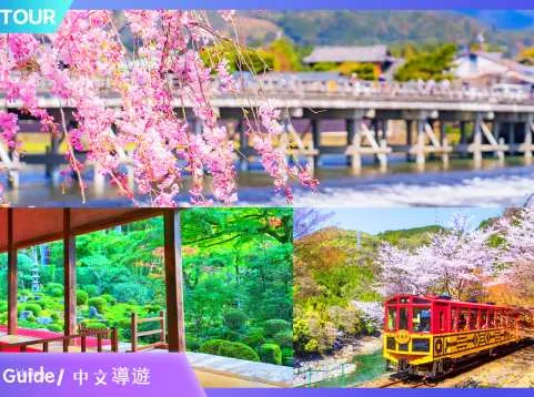Kyoto Day Tour Arashiyama, Sanzen-in Temple, Bamboo Forest, Sagano (Depart from Osaka and Kyoto)