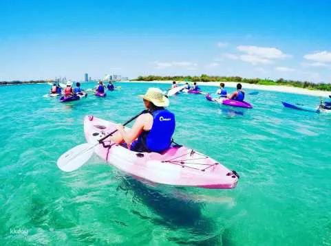 3 Hours Morning Dolphin Kayaking & Snorkeling Tour in Gold Coast | Queensland