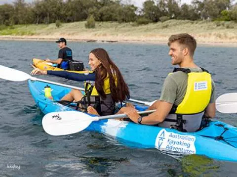 2 Hours Broadwater Dolphin Kayaking & Snorkeling Tour | Queensland