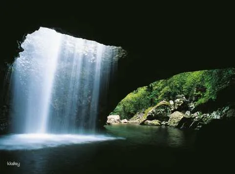 Natural Bridge & Springbrook Waterfalls Half Day Tour | Gold Coast