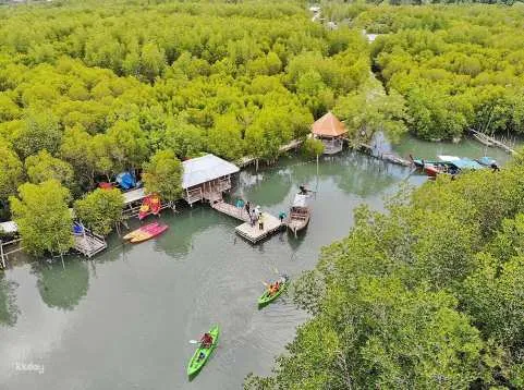Koh Lanta: Half-Day Mangrove Tour by Kayaking | Thailand