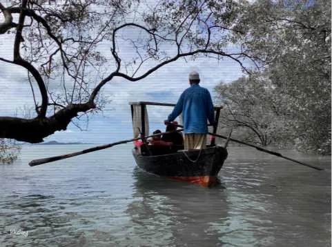 Koh Lanta: The Mangrove by Private Luxury Gondola Half-Day Tour | Thailand