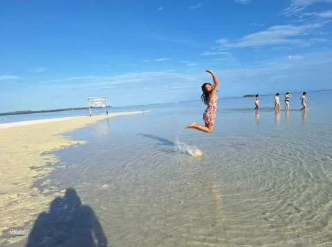 Panglao Island Hopping Shared Day Tour: Dolphin Watching, Coral Reefs Snorkeling and Turtle Watching | Philippines