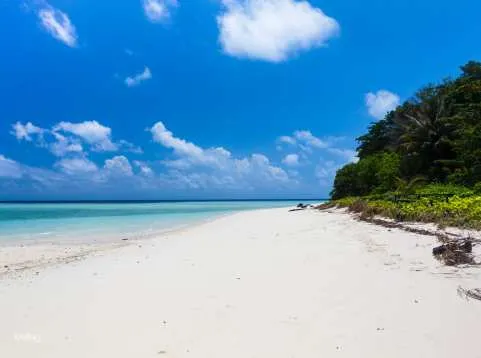 Moon Bay Island Snorkeling & Diving Shared Day Tour | Sabah