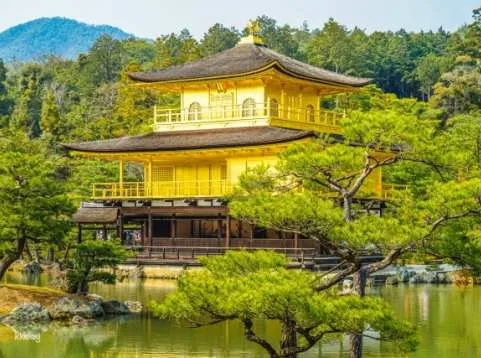 [One-day tour in Kansai with a chartered private charter car ｜Freely choose to get on and off in Osaka and Kyoto] Kyoto by the Sea Ine Town & Chionji Temple & Kasamatsu Park & ​​Ine Bay Cruise & Katsuo Temple in Osaka & Arashiyama in Kyoto & Kink...