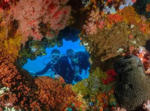 Taitung Green Island｜Open Water Basic Diving Certification Course｜PADI OW/AOW｜Aqua Diving