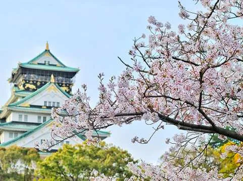 Hyogo & Kobe Day Tour from Osaka: Himeji Castle, Arima Onsen & Mt. Rokko Night View | Japan