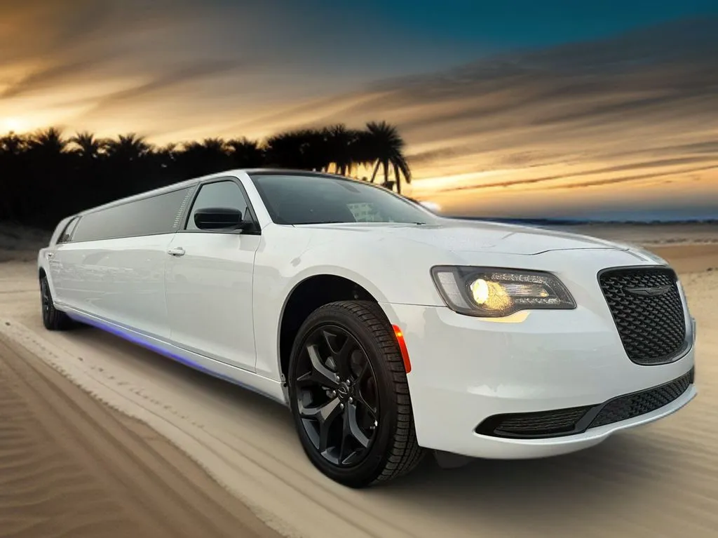 VIP Limousine Tour Experience