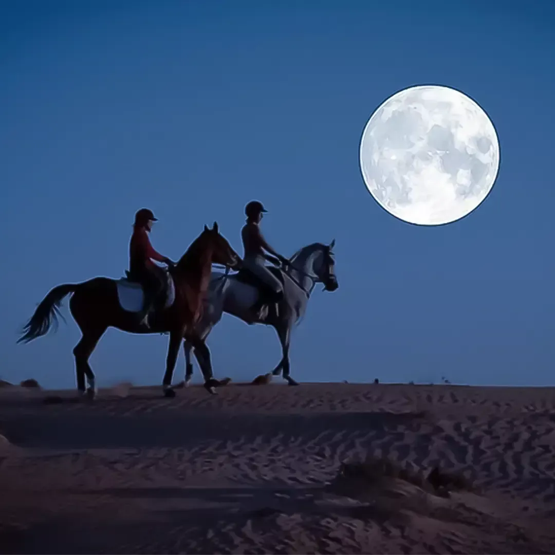 Romantic Full Moon Horse Ride