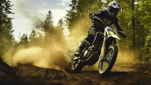 Enduro bikes in the forest