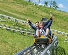 Roller coaster + ostrich farm adventure